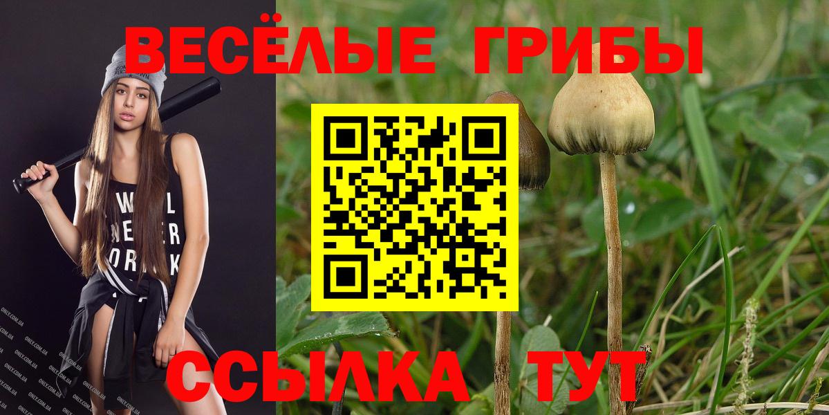 Галлюциногенные грибы мухоморы Верхняя Салда