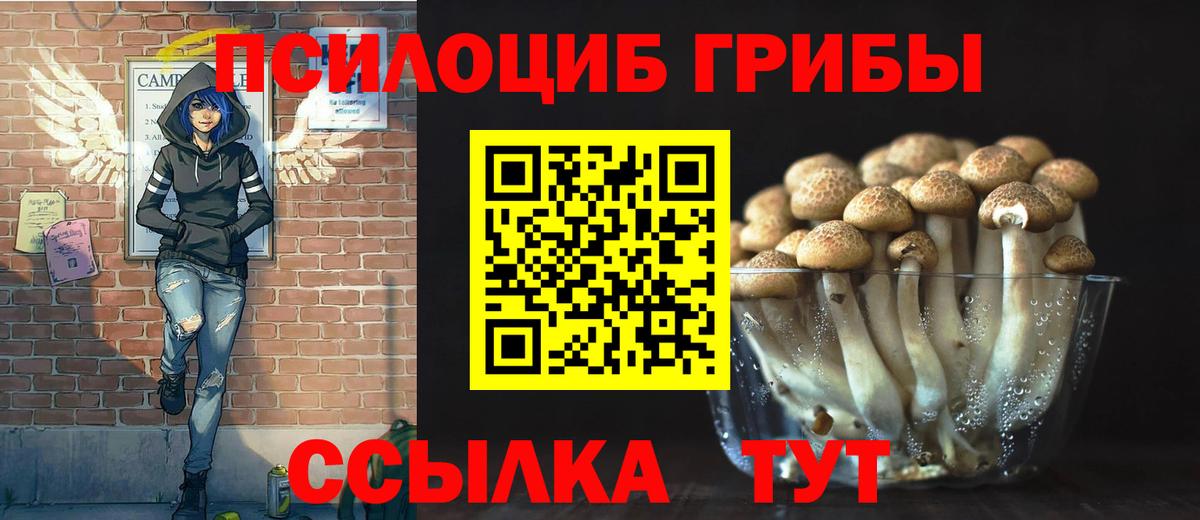 Псилоцибиновые грибы прущие грибы  Галлюциногенные грибы ЛСД  Вход с VPN  Верхняя Салда 